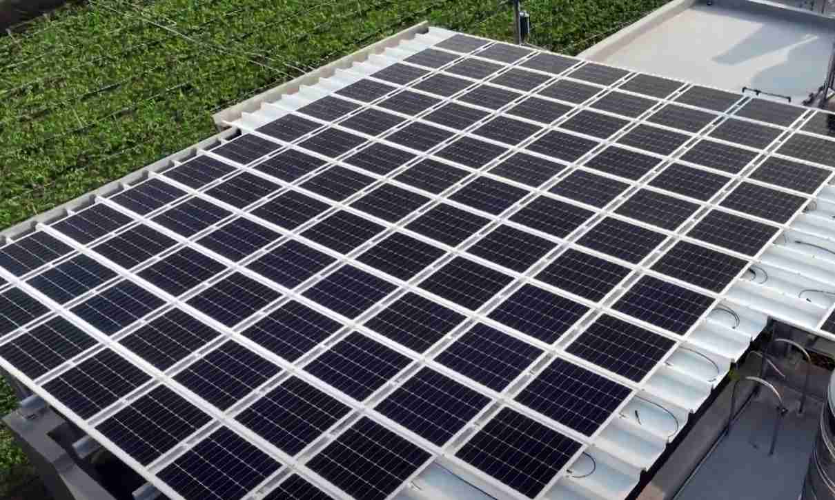 至成国际SunSteel光电浪板升级双玻结构，，，以提升机械负载强度及气候耐候度，，，，可广泛运用于多元场域